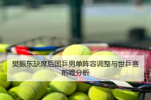 樊振东缺席后国乒男单阵容调整与世乒赛前瞻分析